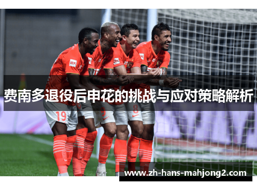 费南多退役后申花的挑战与应对策略解析