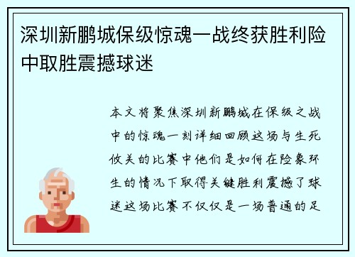 深圳新鹏城保级惊魂一战终获胜利险中取胜震撼球迷